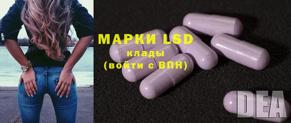 PSILOCYBIN Инта