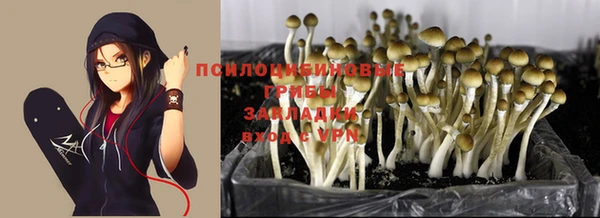 молекула духа Иннополис