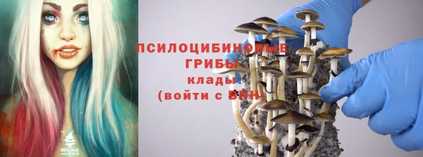 стафф Инсар