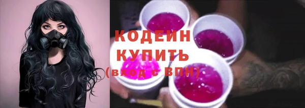 молекула духа Иннополис