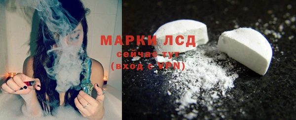 PSILOCYBIN Инта