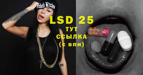 PSILOCYBIN Инта