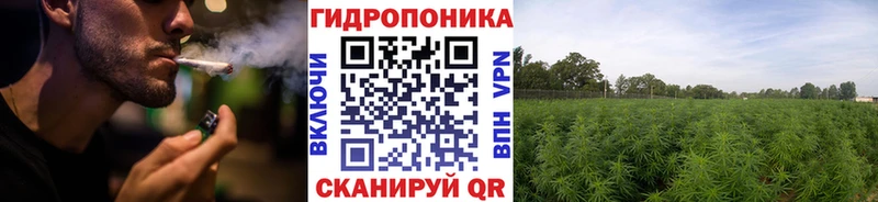 Купить где  Омутнинск  Каннабис THC 21% 